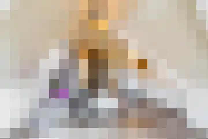 Snip 118 Groningen thumbnail 38