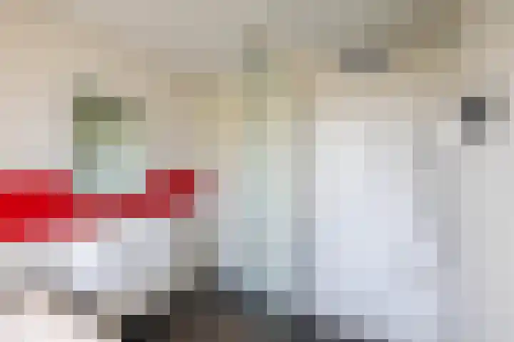 Snip 118 Groningen thumbnail 40