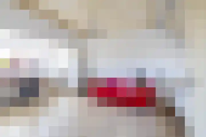 Snip 118 Groningen thumbnail 44