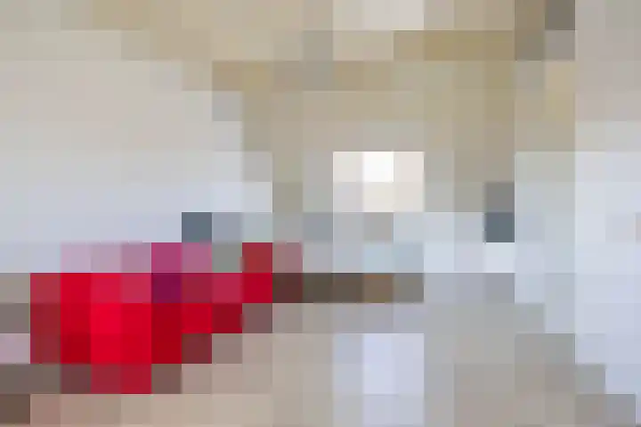 Snip 118 Groningen thumbnail 46