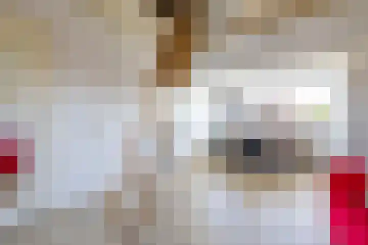 Snip 118 Groningen thumbnail 47