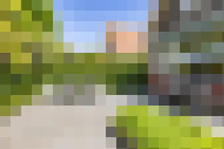Snip 118 Groningen thumbnail 6
