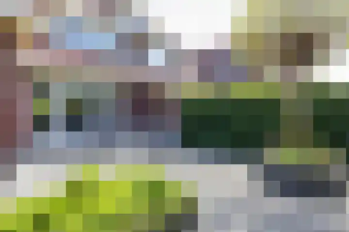 Snip 118 Groningen thumbnail 9