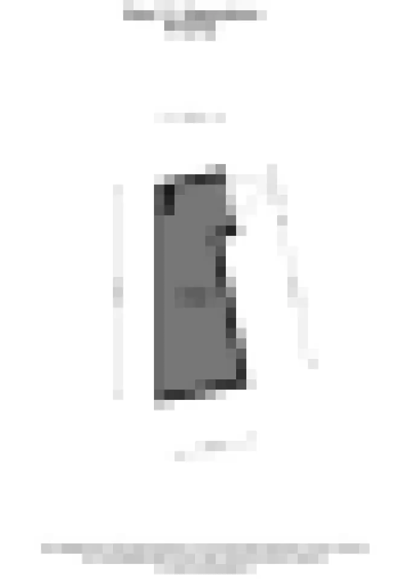 Snip 13 Sassenheim thumbnail 27