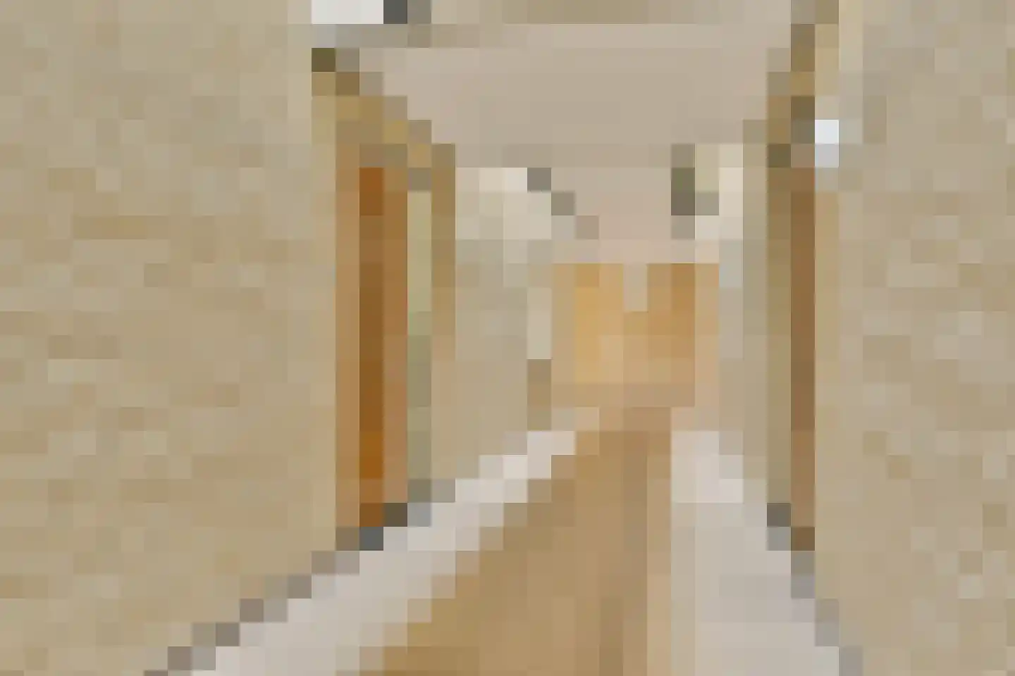 Snip 13 Sassenheim thumbnail 5