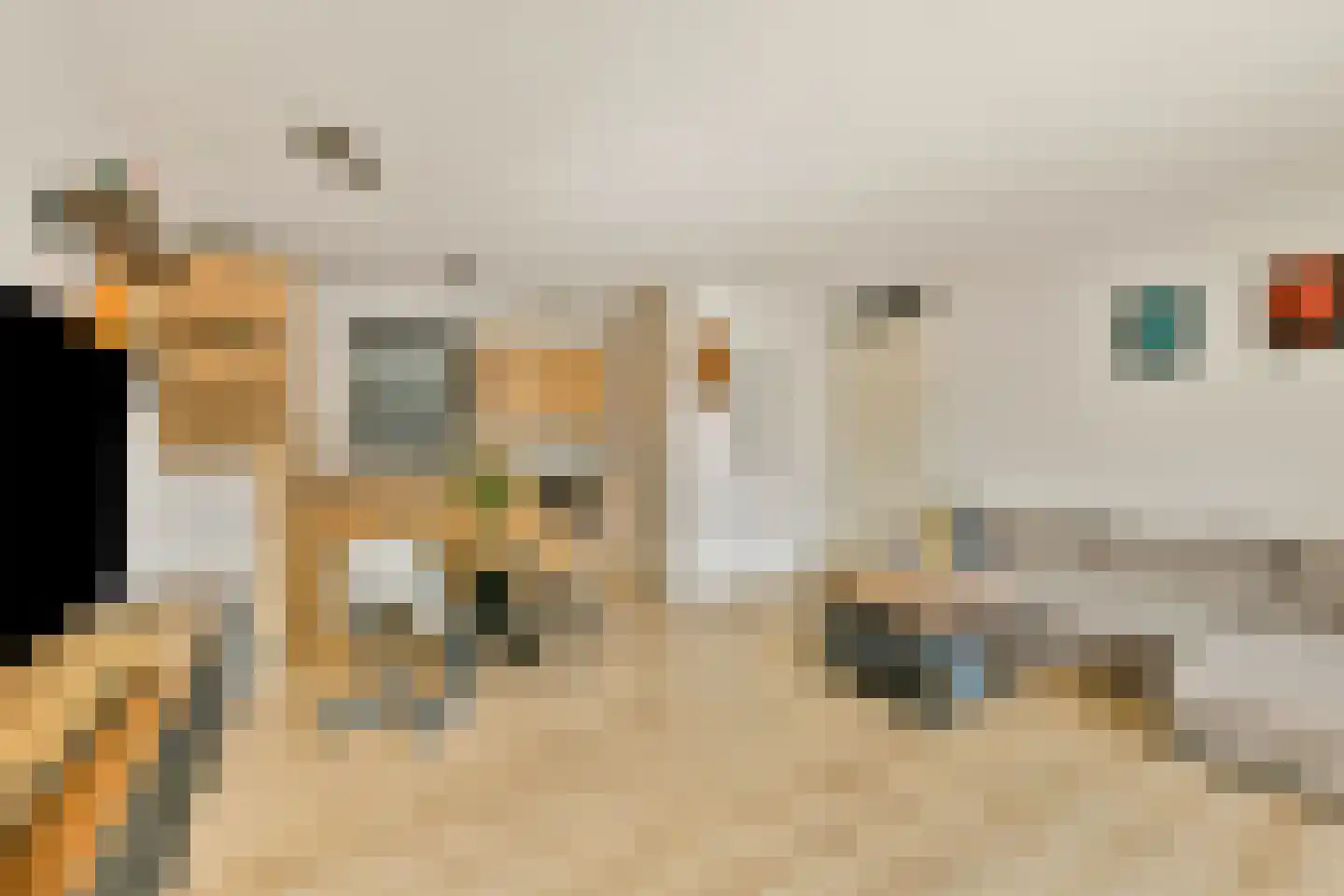 Snip 13 Sassenheim thumbnail 7