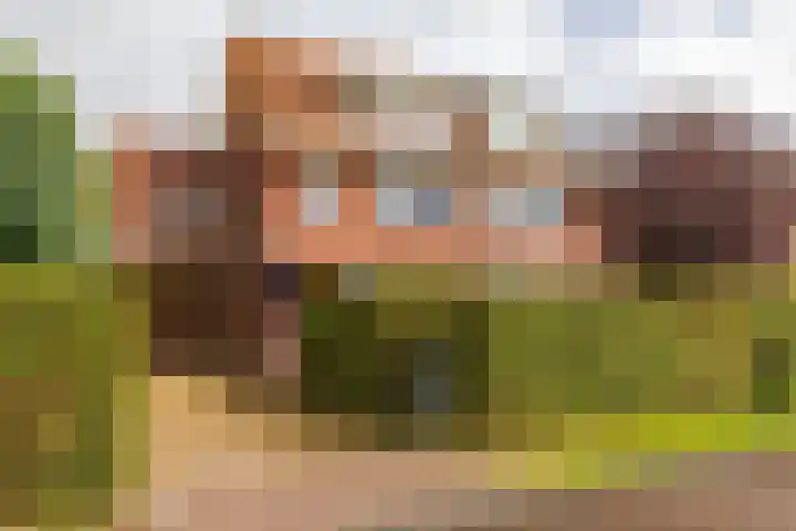 Snip 133 in Groningen