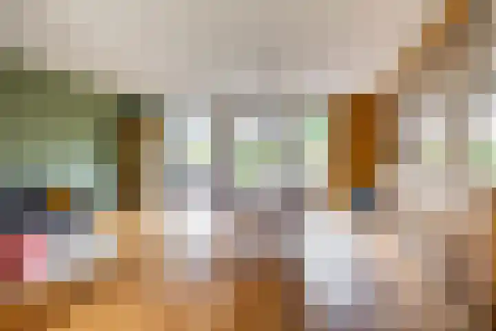 Snip 133 Groningen thumbnail 10