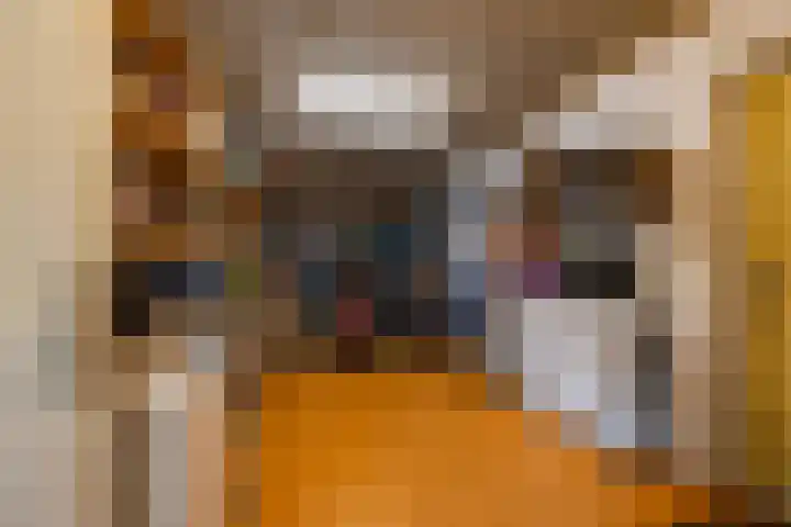 Snip 133 Groningen thumbnail 17