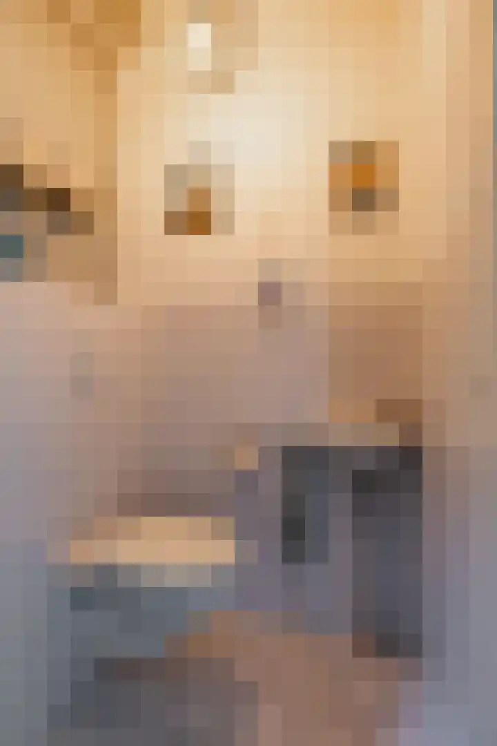 Snip 133 Groningen thumbnail 18