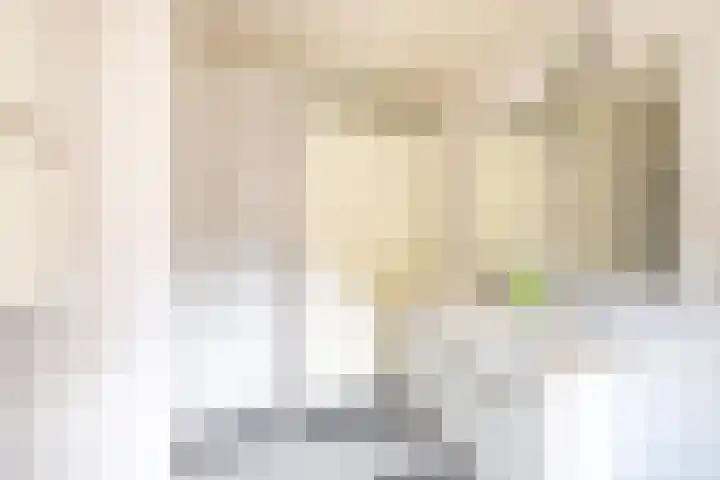 Snip 133 Groningen thumbnail 23