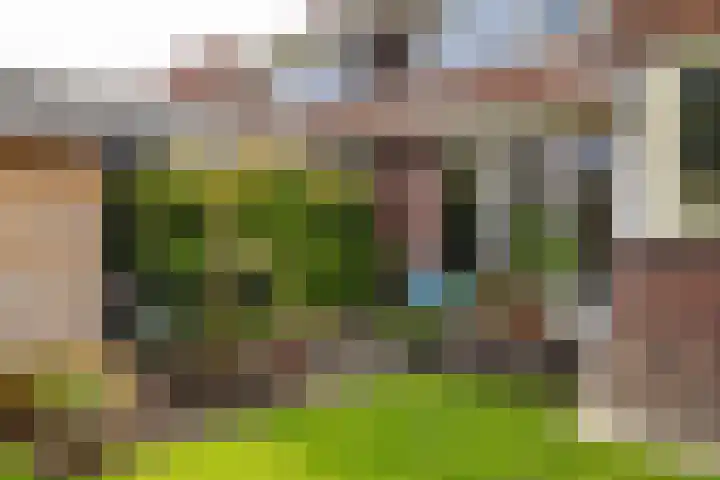Snip 133 Groningen thumbnail 36