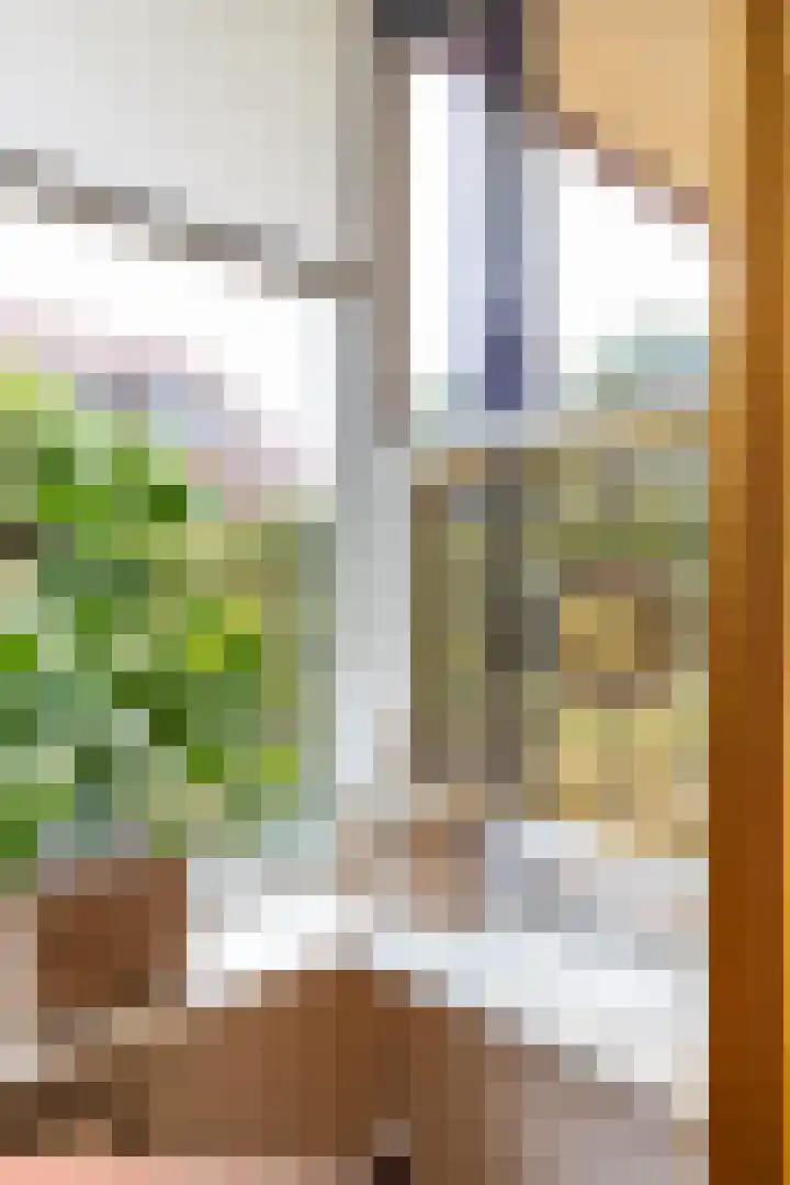 Snip 133 Groningen thumbnail 7