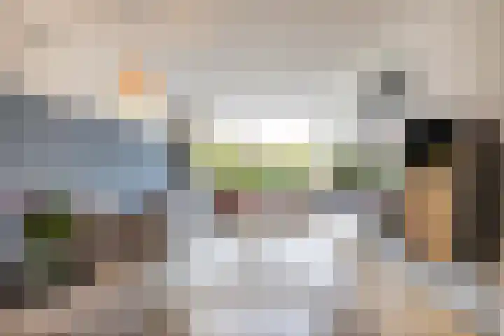 Snip 137 Groningen thumbnail 15