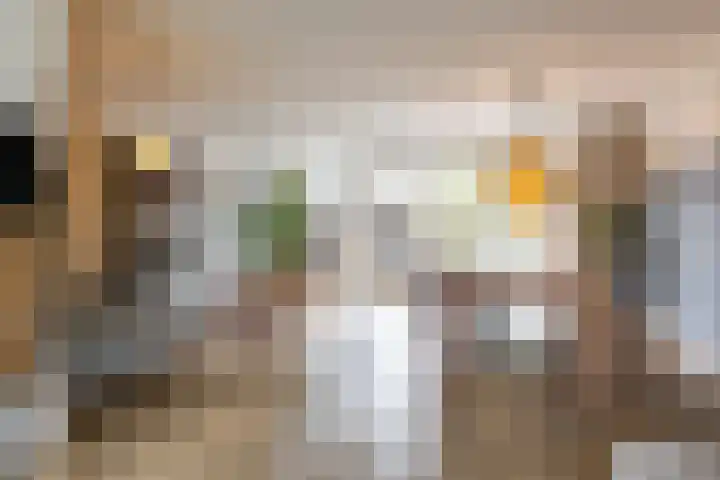 Snip 137 Groningen thumbnail 19
