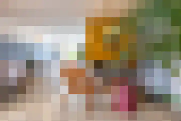 Snip 137 Groningen thumbnail 22