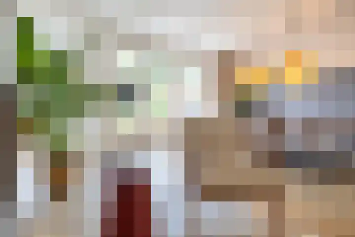 Snip 137 Groningen thumbnail 24