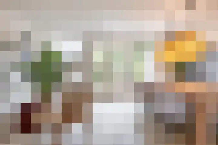 Snip 137 Groningen thumbnail 25