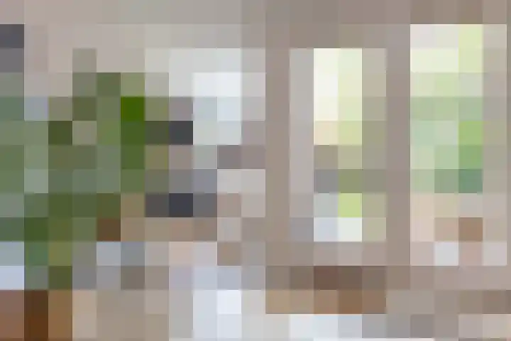 Snip 137 Groningen thumbnail 26