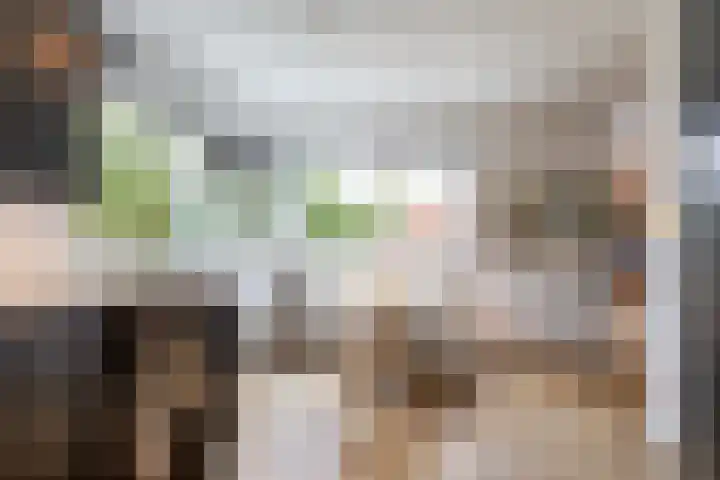 Snip 137 Groningen thumbnail 30