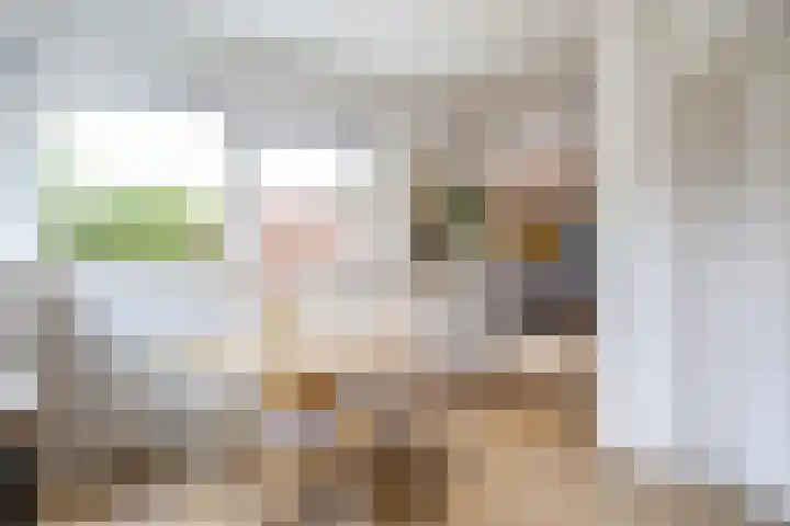 Snip 137 Groningen thumbnail 32