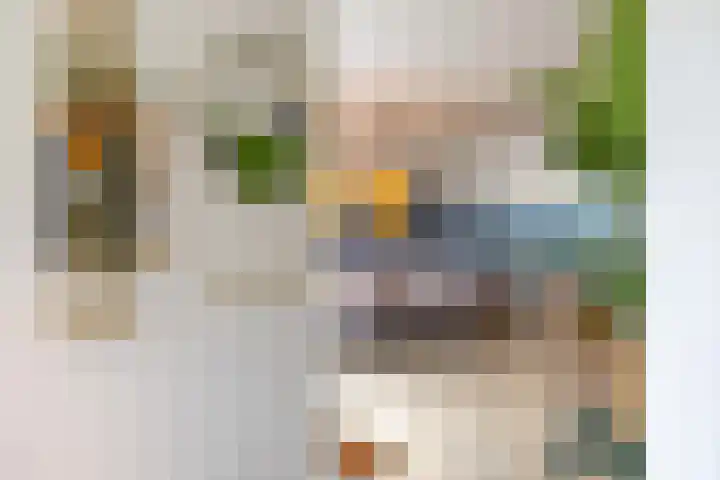 Snip 137 Groningen thumbnail 33
