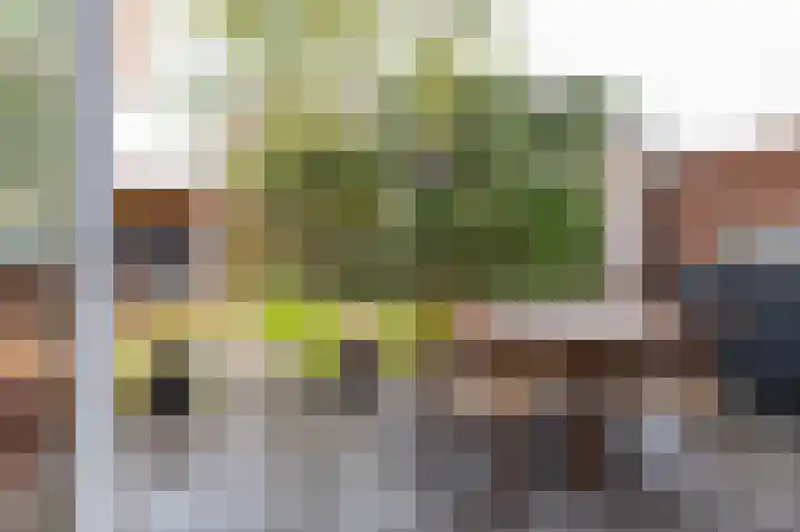 Snip 137 Groningen thumbnail 34