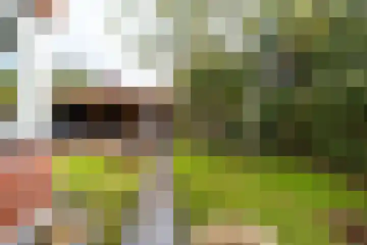 Snip 137 Groningen thumbnail 35