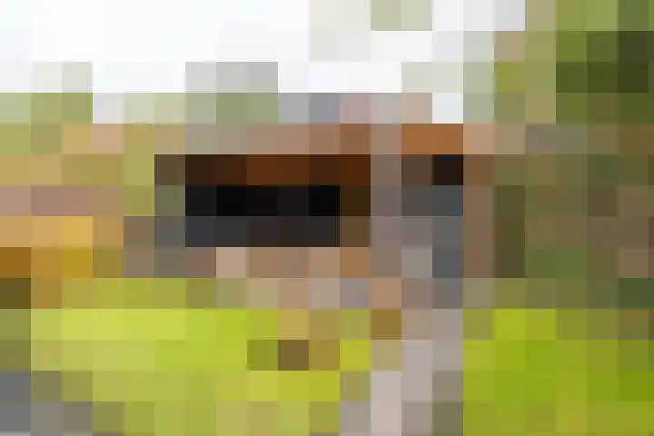Snip 137 Groningen thumbnail 36