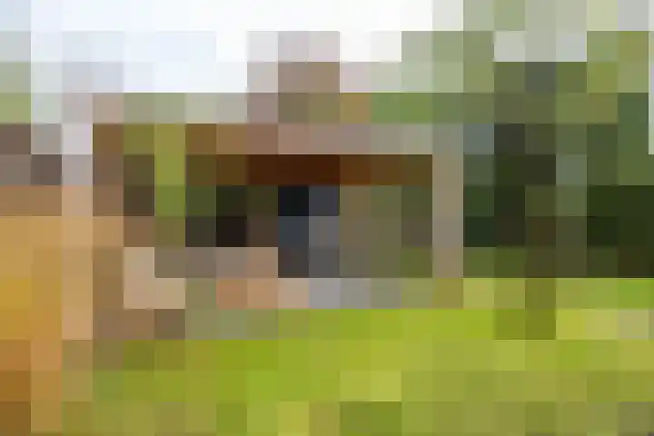 Snip 137 Groningen thumbnail 37