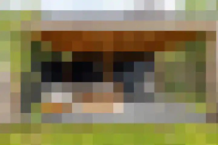 Snip 137 Groningen thumbnail 38