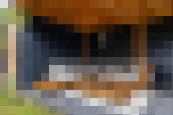 Snip 137 Groningen thumbnail 39