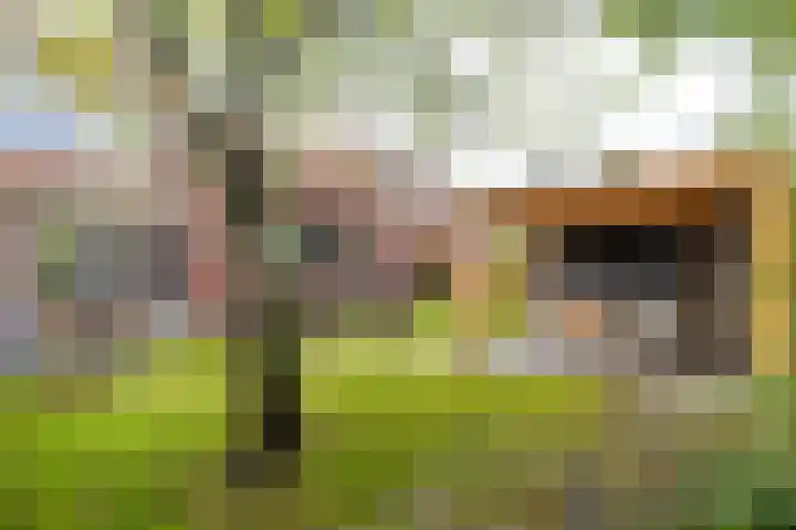 Snip 137 Groningen thumbnail 4