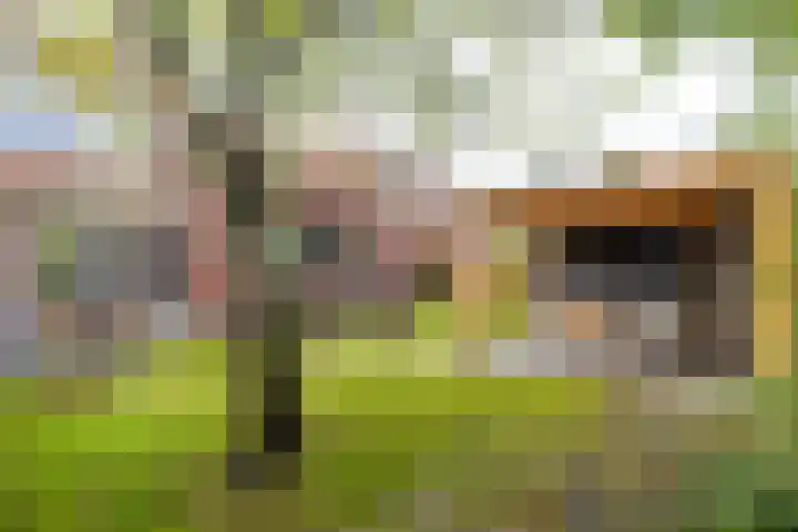 Snip 137 Groningen thumbnail 40