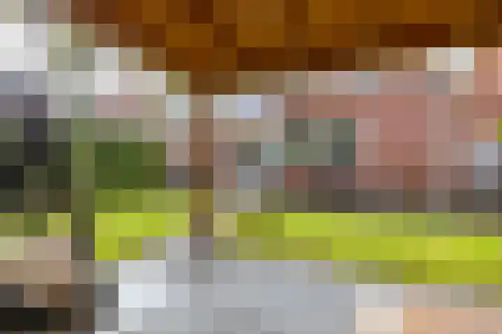 Snip 137 Groningen thumbnail 41