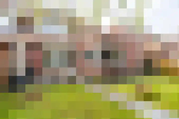Snip 137 Groningen thumbnail 42