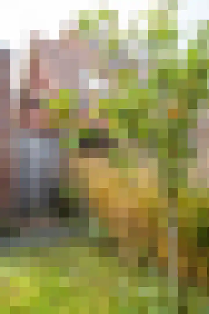 Snip 137 Groningen thumbnail 43