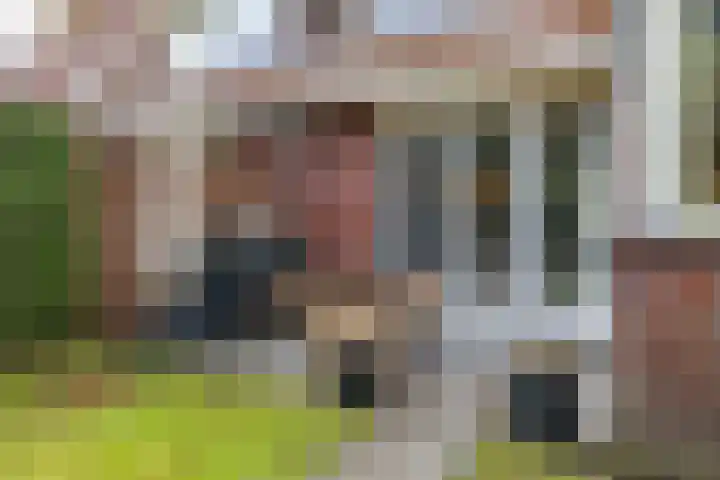 Snip 137 Groningen thumbnail 44