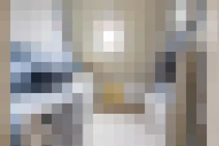 Snip 137 Groningen thumbnail 46