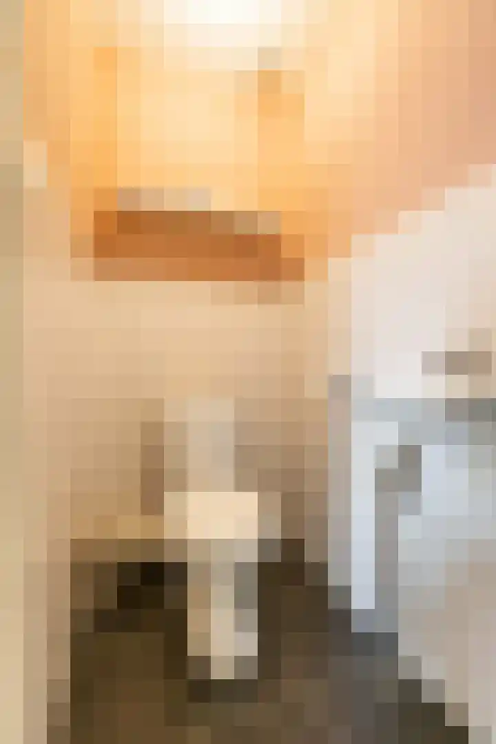 Snip 137 Groningen thumbnail 48