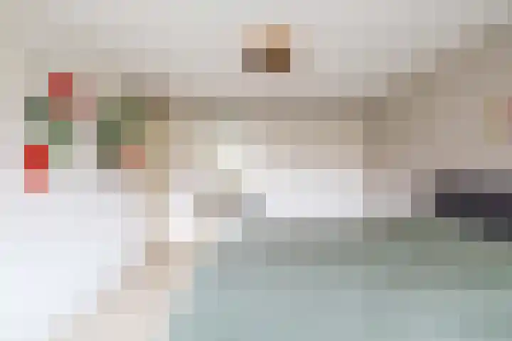 Snip 137 Groningen thumbnail 50