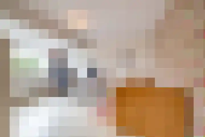 Snip 137 Groningen thumbnail 51