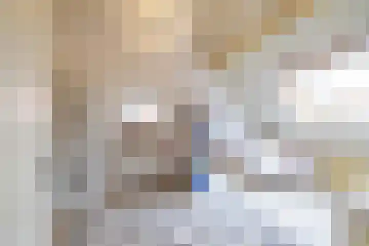 Snip 137 Groningen thumbnail 53