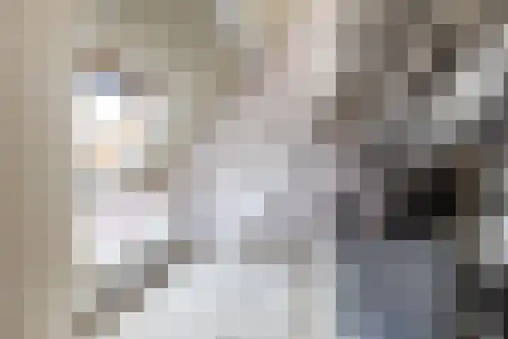 Snip 137 Groningen thumbnail 67