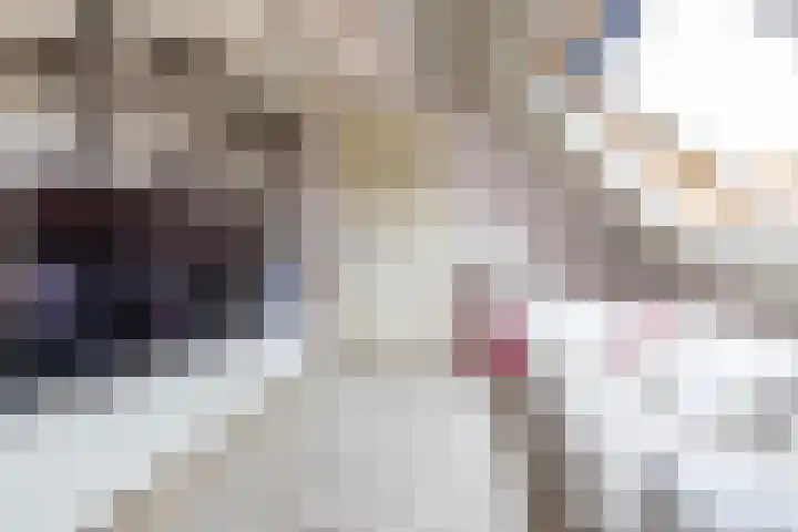 Snip 137 Groningen thumbnail 68