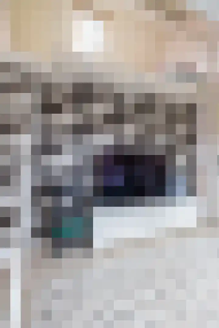 Snip 137 Groningen thumbnail 69