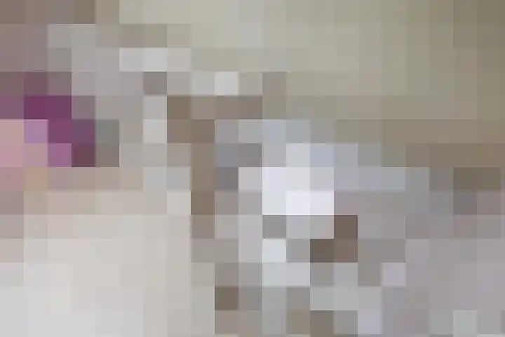 Snip 137 Groningen thumbnail 71