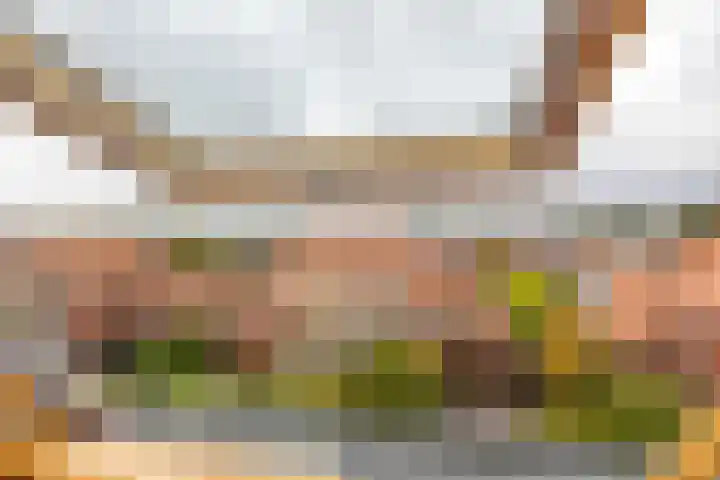 Snip 137 Groningen thumbnail 73
