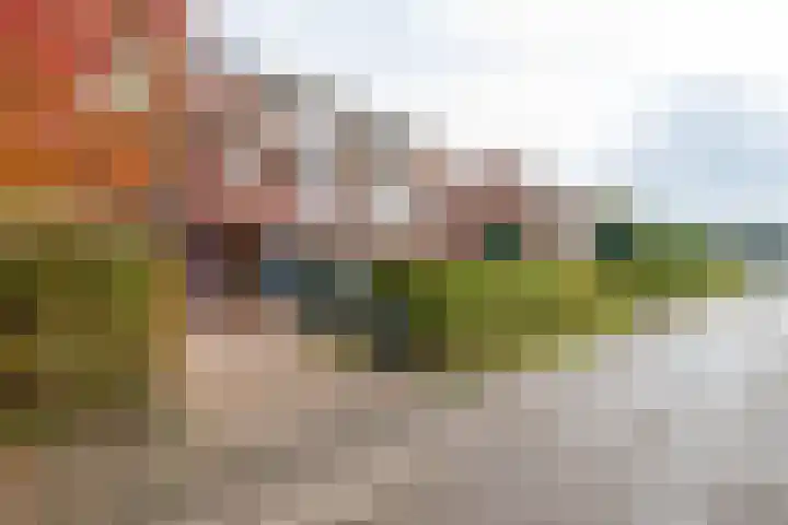 Snip 137 Groningen thumbnail 74