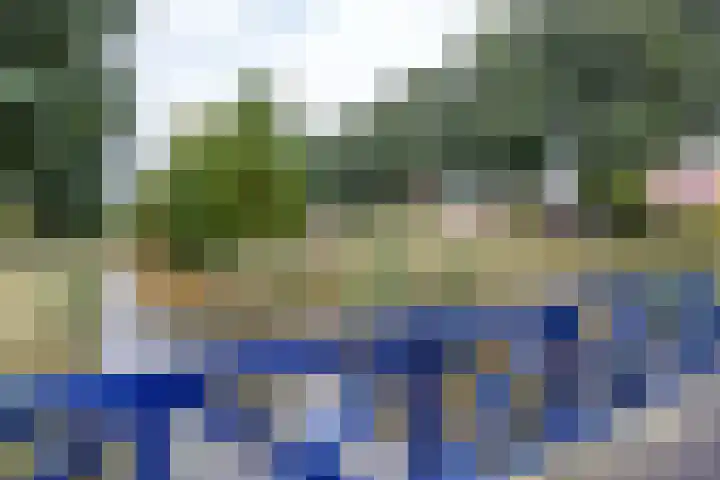 Snip 137 Groningen thumbnail 75